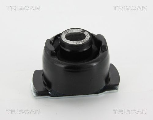 TRISCAN Lagring, akselskaft 8500 25822 Akselskaft lagring TRISCAN 968 8500 25822 billige