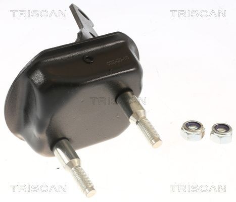 TRISCAN Lagerbock, Achskörper 8500 28534 8500 28534 Achskörperlager CITROËN C1 TRISCAN kaufen