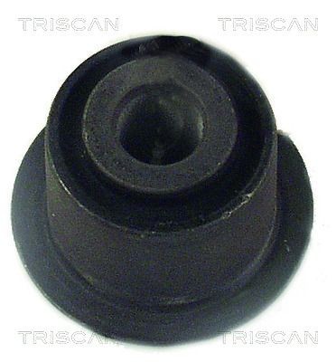 TRISCAN Ophæng, bærearm 8500 28804 8500 28804 Bærearmsbøsning TRISCAN PEUGEOT 307