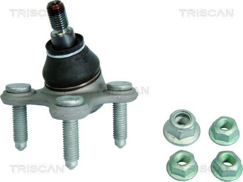 TRISCAN Testina braccio oscillante 8500 29576 8500 29576 Testina braccio oscillante TRISCAN AUDI COUPE costo