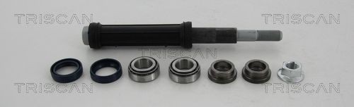 TRISCAN Querlenker-Reparatursatz 8500 38401 TRISCAN 8500 38401 Querlenker-Reparatursatz Citroën C5 Kombi Kosten