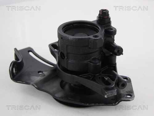TRISCAN Ohjaustehostimen pumppu 8515 25630 Ohjaustehostimen pumppu TRISCAN Hydraulinen, Hihnapyöra-Ø: 124 mm