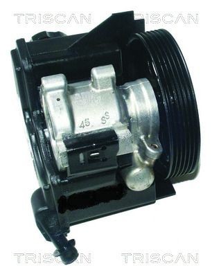 TRISCAN Pompe de direction assistée 8515 38608 8515 38608 Pompe hydraulique de direction assistée TRISCAN PEUGEOT 308