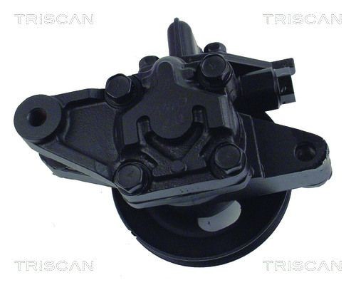 TRISCAN Stūres pastiprinātāja sūknis 8515 43601 TRISCAN 851543601 Stūres pastiprinātāja sūkņi Lantra II Sedan (J-2) cena