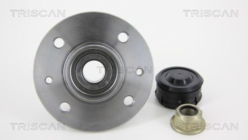 TRISCAN Σετ ρουλεμάν τροχών 8530 25253 Μουαγιέ τροχού TRISCAN CAPTUR 8530 25253 φθηνά