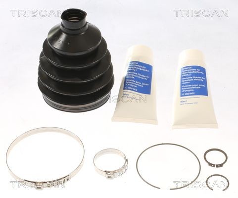 TRISCAN Kaitsekummikomplekt, veovõll 8540 43810 8540 43810 Veovõlli otsa porikumm HYUNDAI ELANTRA TRISCAN