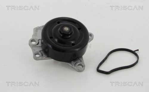 TRISCAN Vodné čerpadlo 8600 10022 Vodné čerpadlo TRISCAN Citroën C25 8600 10022
