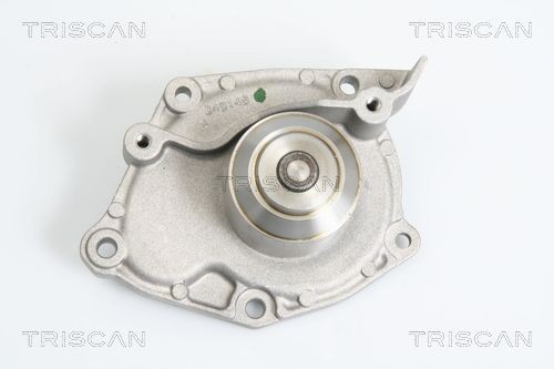 TRISCAN Ūdenssūknis 8600 10025 8600 10025 Ūdens sūknis RENAULT MEGANE TRISCAN