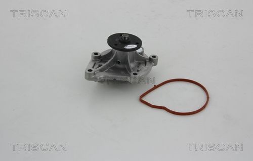 TRISCAN Veepump 8600 10032 Veepump TRISCAN 508 8600 10032 odav