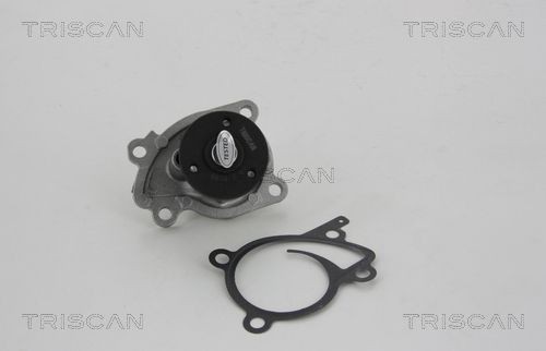 TRISCAN Vodné čerpadlo 8600 10071 8600 10071 Vodné čerpadlo NISSAN MAXIMA TRISCAN