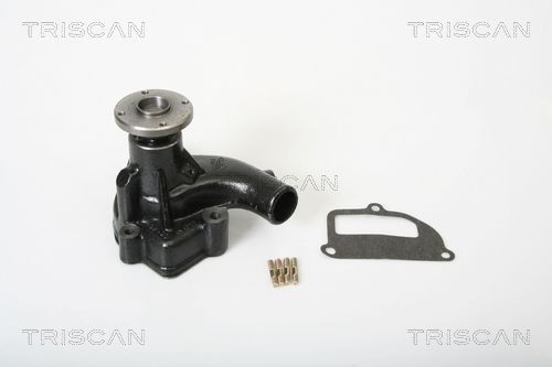TRISCAN Vattenpump 8600 14953 8600 14953 TRISCAN vattenpumpar Nissan CABSTAR E