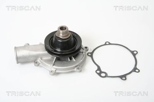 TRISCAN Pompa acqua 8600 24049 TRISCAN 8600 24049 Pompe acqua Carlton Mk2 Sedan prezzo