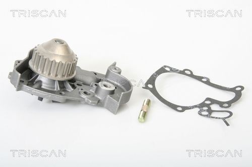 TRISCAN Vandpumpe 8600 25876 8600 25876 Vandpumpe TRISCAN RENAULT 6