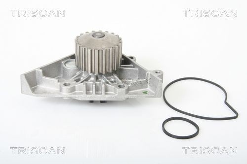 TRISCAN Ūdenssūknis 8600 28011 Ūdens sūknis TRISCAN 508 8600 28011 lēti
