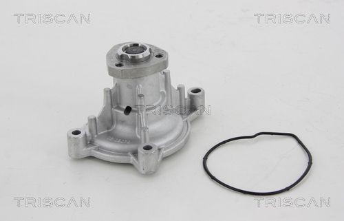 TRISCAN Vattenpump 8600 29050 VW vattenpumpar TRISCAN 8600 29050