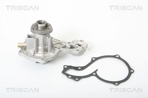 TRISCAN Vandpumpe 8600 29812 Vandpumpe TRISCAN ALHAMBRA 8600 29812 billig