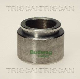 TRISCAN Termokontakt, kylarfläkt 8625 50091 MAZDA termokontakt kylfläkt TRISCAN 8625 50091
