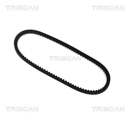 TRISCAN Kilerem 8640 111030 Kilerem TRISCAN Renault MEGANE 8640 111030