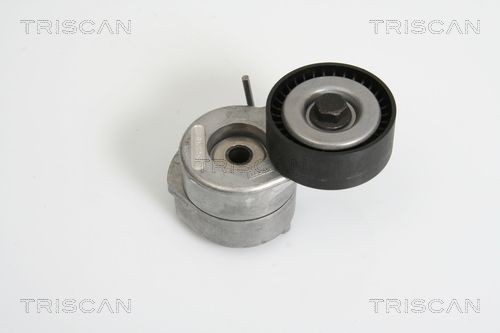 TRISCAN Spanner, Poly V-riem 8641 103019 Suzuki VITARA V snaar spanner TRISCAN 8641 103019