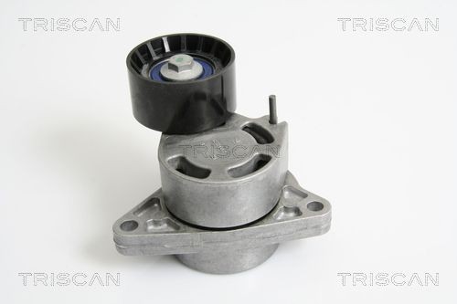 TRISCAN Βραχίονας σύσφιγξης, ιμάντας poly-V 8641 103030 Βραχίονας σύσφιγξης TRISCAN Opel CORSA 8641 103030