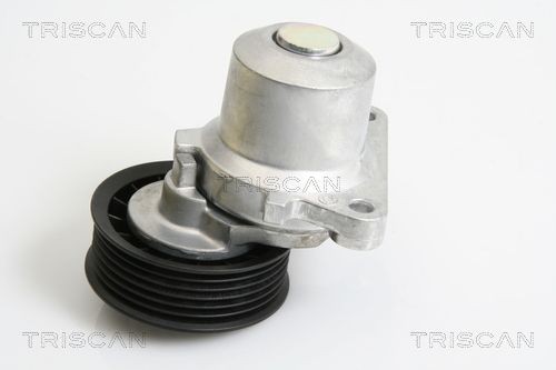 TRISCAN Braccio tenditore, Cinghia Poly-V 8641 103033 8641 103033 Tenditore cinghia servizi MAZDA 2 TRISCAN costo