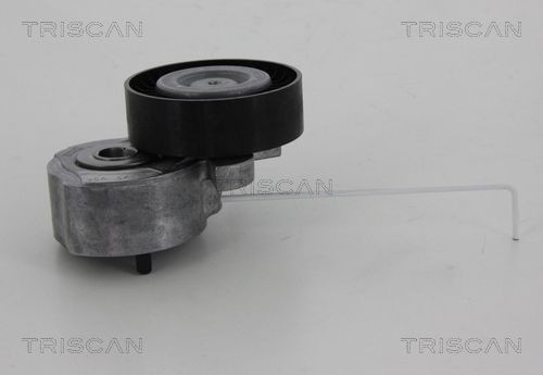 TRISCAN Spanrol, poly V-riem 8641 103037 8641 103037 Spanrol multiriem LAND ROVER DISCOVERY TRISCAN