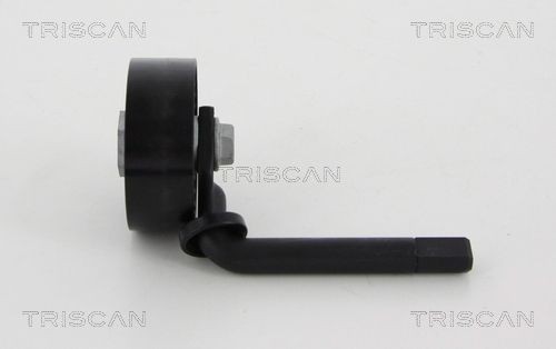 TRISCAN Rullo tenditore cinghia Poly-V 8641 111013 Costo Rullo tendicinghia TRISCAN DODGE 8641 111013