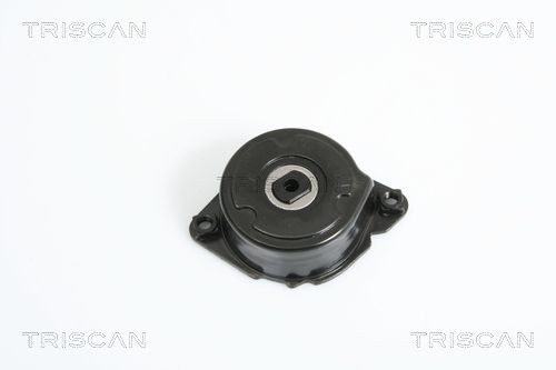 TRISCAN Spennarm, vifterem 8641 113023 8641 113023 Remstrammer TRISCAN BMW 3-serie
