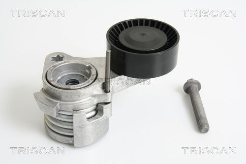 TRISCAN Spennarm, vifterem 8641 113027 Spennarm TRISCAN BMW 3-serie 8641 113027
