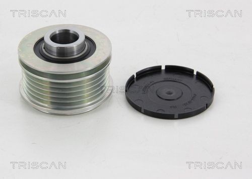 TRISCAN Dynamopoelie 8641 144003 Renault KADJAR Vrijloop poelie dynamo TRISCAN 8641 144003