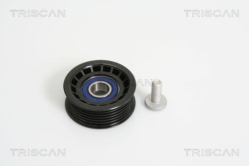 TRISCAN Vratná / vodiaca kladka rebrovaného klinového remeňa 8641 162005 8641 162005 Vodiaca kladka TRISCAN JAGUAR XE