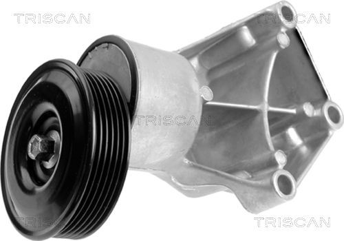 TRISCAN Braccio tenditore, Cinghia Poly-V 8641 163002 8641 163002 costo Tenditore cinghia servizi MAZDA 2 TRISCAN