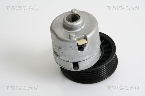 TRISCAN Tensor, correia trapezoidal estriada 8641 163013 Esticador da correia do alternador TRISCAN FOCUS 8641 163013 baratos