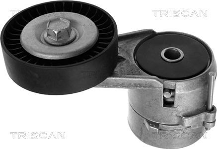 TRISCAN Βραχίονας σύσφιγξης, ιμάντας poly-V 8641 243005 8641 243005 Βραχίονας σύσφιγξης OPEL CORSA TRISCAN