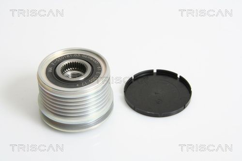TRISCAN Voľnobeżka alternátora 8641 254005 8641 254005 Voľnobeżka alternátora NISSAN 280 ZX,ZXT TRISCAN