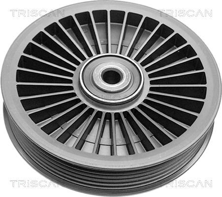 TRISCAN Medløberhjul, multi-V-rem 8641 272001 Medløberhjul TRISCAN Opel MOVANO 8641 272001