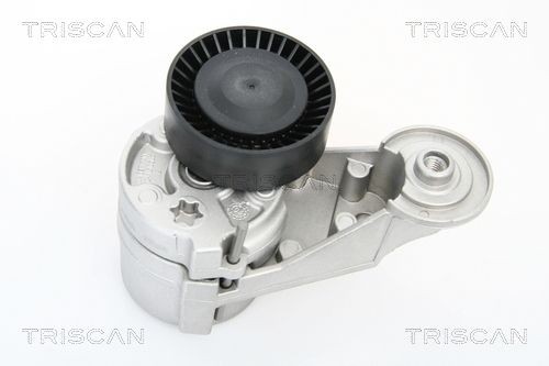 TRISCAN Remspännare 8641 273002 8641 273002 TRISCAN multiremspännare Volvo S60