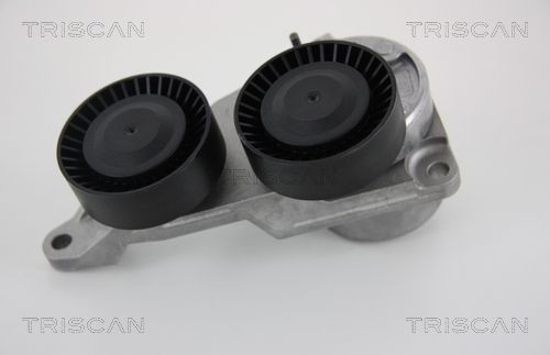 TRISCAN Remspännare 8641 273004 8641 273004 TRISCAN spännare för multirem Volvo S60