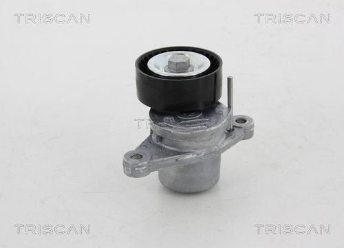 TRISCAN Remstrammer, vifterem 8641 281028 Beltestrammer TRISCAN Hyundai H350 8641 281028