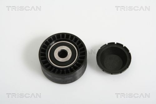 TRISCAN Galet enrouleur de courroie d'accessoire 8641 282010 TRISCAN Déviation poulie de guidage FIAT 8641 282010