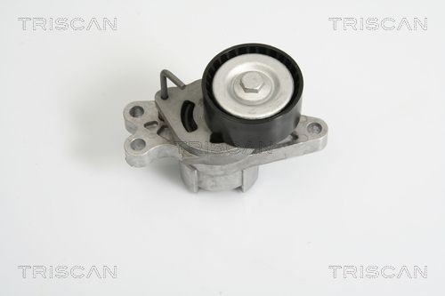 TRISCAN Spannarm, Keilrippenriemen 8641 283004 8641 283004 Spannarm Keilrippenriemen CHEVROLET MATIZ TRISCAN kaufen