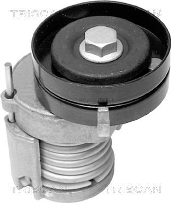 TRISCAN Βραχίονας σύσφιγξης, ιμάντας poly-V 8641 291003 Βραχίονας σύσφιγξης TRISCAN IQ 8641 291003 φθηνά