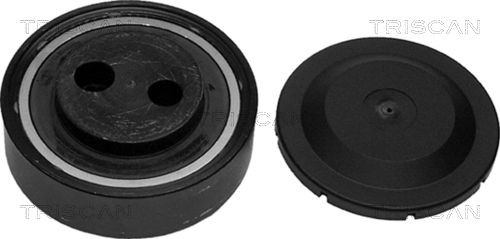 TRISCAN Rullo tenditore cinghia Poly-V 8641 291005 8641 291005 costo Rullo tendicinghia SKODA FABIA TRISCAN