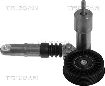 TRISCAN Βραχίονας σύσφιγξης, ιμάντας poly-V 8641 293004 Βραχίονας σύσφιγξης TRISCAN CORSA 8641 293004 φθηνά