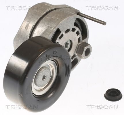 TRISCAN Spannrolle, Keilrippenriemen 8641 293024 8641 293024 Spannrolle TRISCAN kaufen
