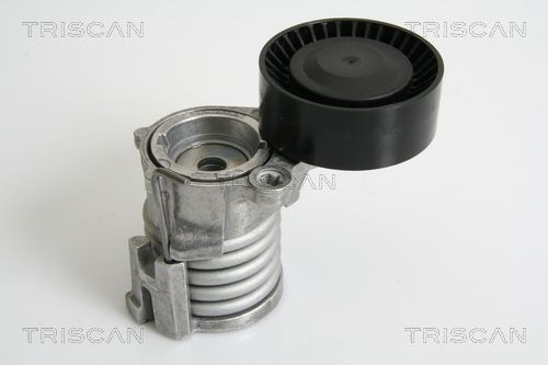 TRISCAN Spannarm, Keilrippenriemen 8641 293025 Spannelement für Keilrippenriemen TRISCAN MATIZ 8641 293025 günstig