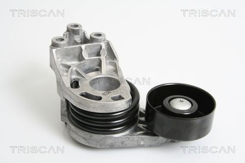 TRISCAN Kiristinvarsi, moniurahihna 8641 293027 AUDI Laturin hihnan kiristin TRISCAN 8641 293027