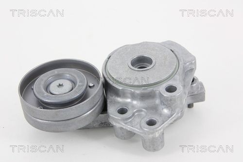 TRISCAN Napínacie rameno rebrovaného klinového remeňa 8641 293036 8641 293036 Napínacie rameno TRISCAN SEAT LEON
