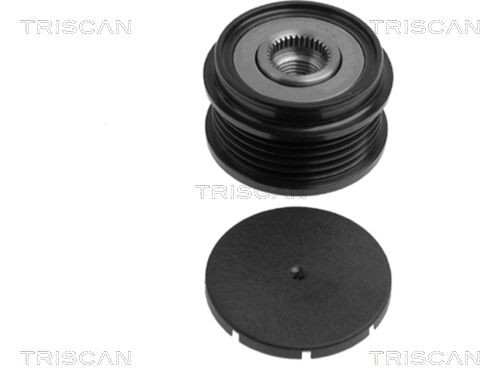TRISCAN Alternator Freewheel Clutch 8641 294005 PEUGEOT 309 TRISCAN freewheel clutch alternator 8641294005