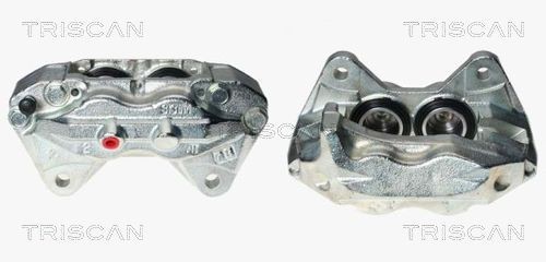 TRISCAN Vibratiedemper, Poly V-riem 8641 653002 Vibratiedemper, poly v-riem TRISCAN YARIS 8641 653002 goedkoop